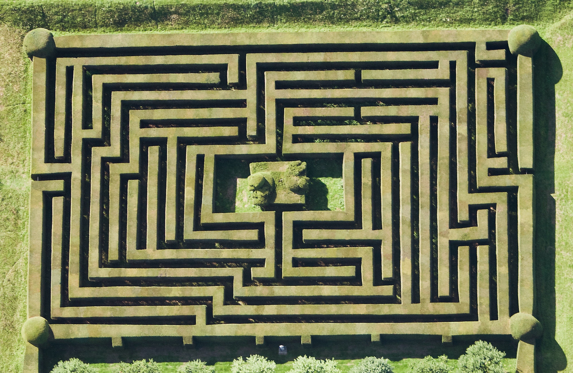 Aerial view of hedge maze
