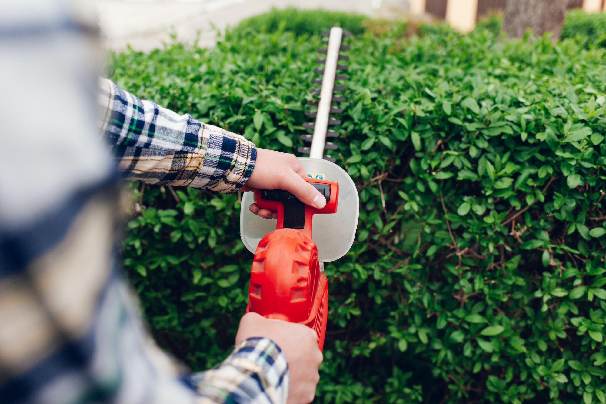 Aveve Tuincentra: Waar Tuinieren een Passie is