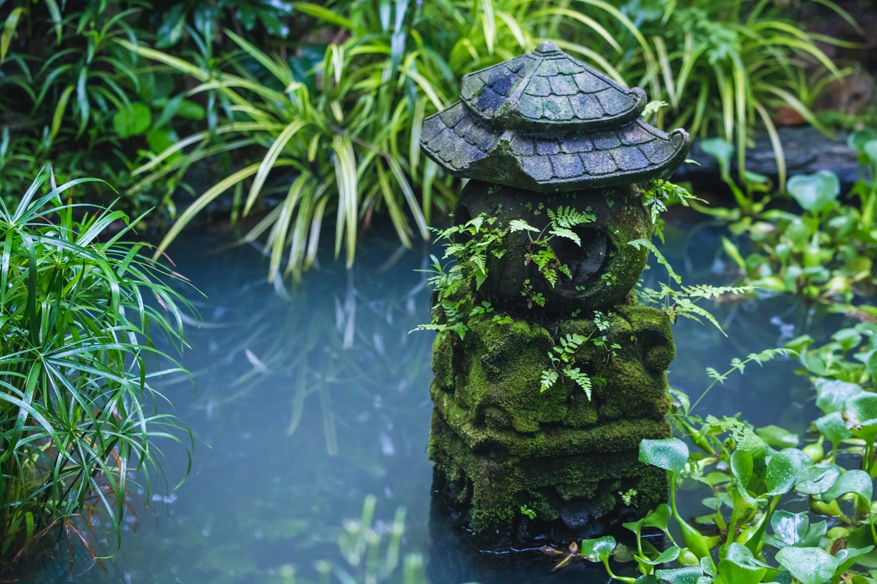 Hoe u uw tuinvijver gemakkelijk kunt schoonmaken