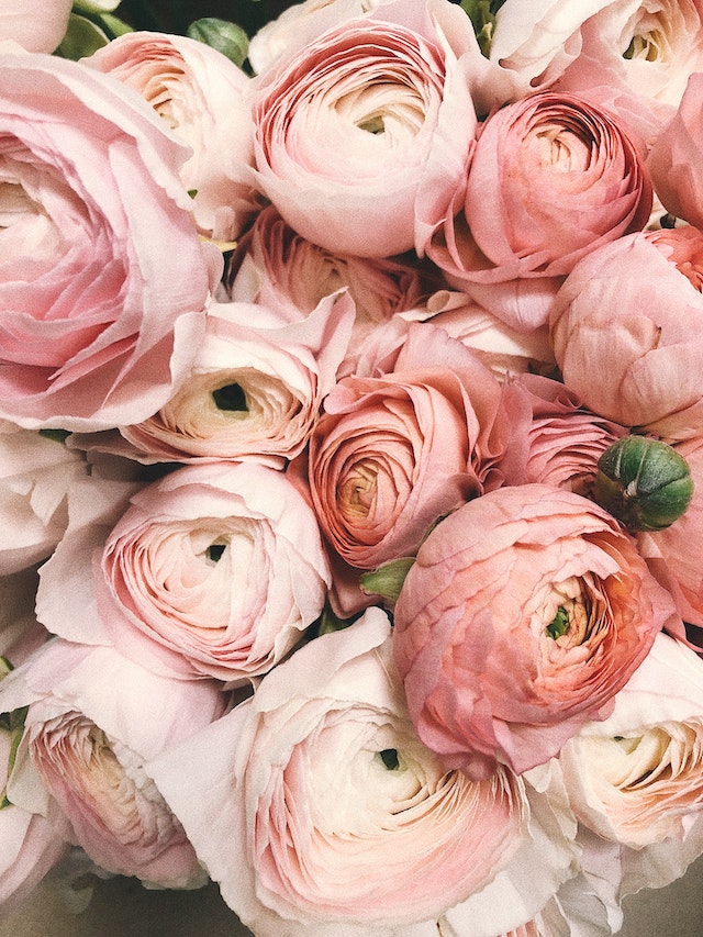 Verras Iemand met Prachtige Bloemen: Boeket Bezorgen en Bloemen in Hoofddorp