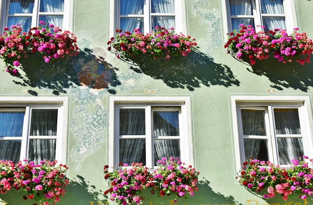 Windscherm Uittrekbaar en Bloempotten Buiten: Praktisch en Sfeervol Tuincomfort