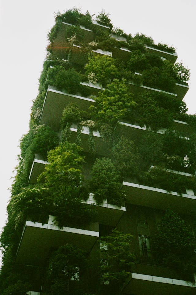 Tuincentrum en Verticaal Tuinieren: Groen Genieten in de Hoogte