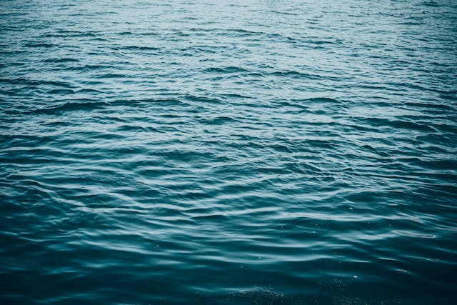 Vijverfilter en Voorgevormde Vijver: De Basis voor een Gezond Waterparadijs