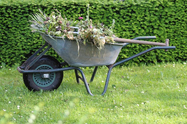 Tuincentrum Van Cranenbroek: Voor Tuin, Dier en Vrije Tijd