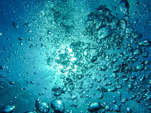 Vijverfilter en Voorgevormde Vijver: Gezond Water en Eenvoudig Tuinplezier