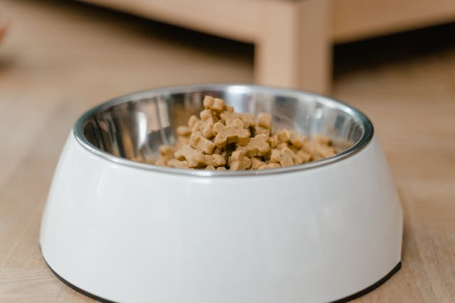 Pala hondenvoer en hond ontwormen: aandacht voor voeding en gezondheid